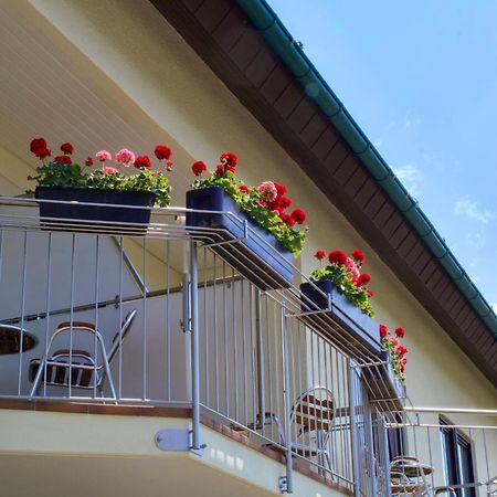 Hotel Garni Schacherer Mullheim  Buitenkant foto